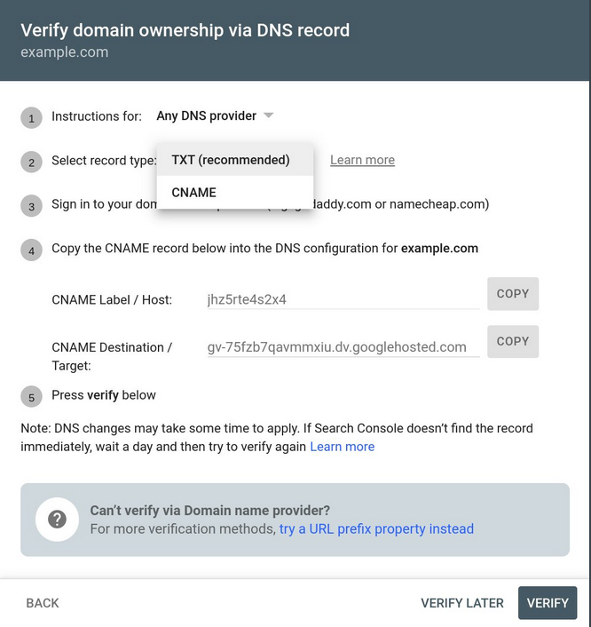 4 verify domain dns record